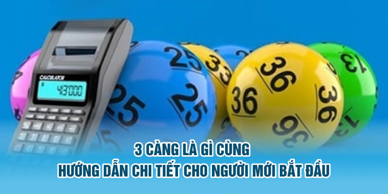 Khái niệm cơ bản về 3 càng là gì