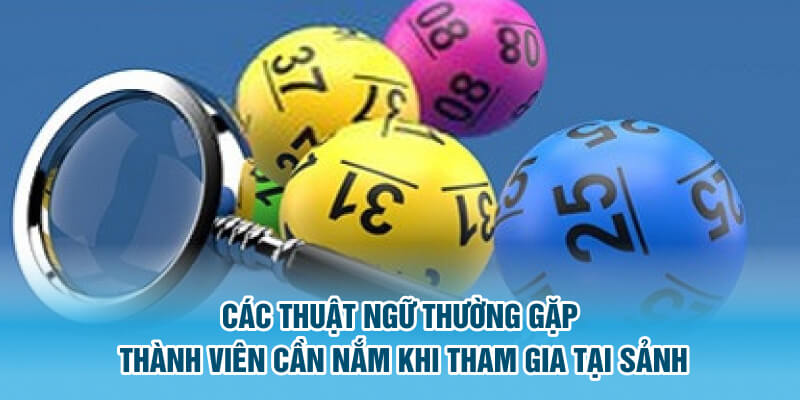 Các thuật ngữ 3 càng thường gặp